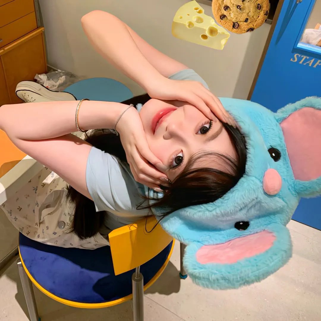 灼韶华